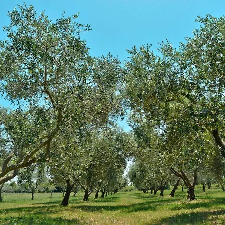 Bozac By Interhome בית נופש