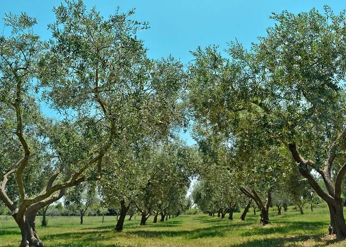 Bozac By Interhome Σπίτι διακοπών